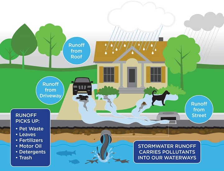 Stormwater Pollution