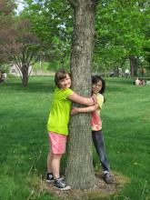 Kids Hugging Tree